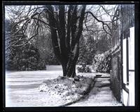 Snow-scene. Up garden from porch door, [Deshler-Morris House, 5442 Germantown Avenue] [graphic].