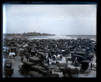 Jersey Wash Day, from top of Tremont N. Pavilion. Looking N. [Sea Girt, NJ] [graphic].