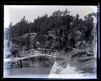 Rustic bridge at waterside, Norwood, [Mr. Darrell on bridge], [Bermuda] [graphic].