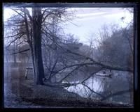 Fallen tree over Tacony Creek, Olney just below "Cape May." H[annah] P. M[orris] in boat [graphic].