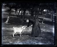 Bess [Elizabeth Canby Morris] & goat at Mangrove Bay, Somerset, [Bermuda] [graphic].