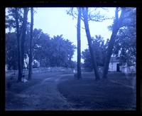 [View ] thro pine trees at Allaire, [NJ], looking toward workman's houses [graphic].