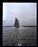 Cat boat "Annie." Winning boat in race on [Mana]squan R[iver], [Manasquan, NJ] [graphic].