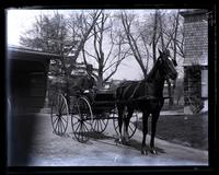 [Genesta], Fred Strawbridge in buggy, [Germantown] [graphic].