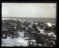 Jersey Wash Day Tremont H. Pavillion, [Sea Girt, NJ] [graphic].