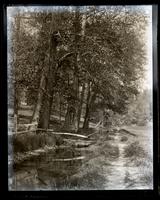 Race & foot bridge, [Little Wakefield, Germantown] [graphic].