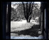 Back yard on snowy day from conservatory door, 5442 [Germantown Avenue, Deshler-Morris House] [graphic].