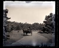 Sam Morris in carriage in Crescent Park, Sea Girt, NJ [graphic].