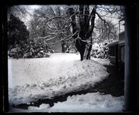 Looking up back yard, 5442 [Germantown Avenue, Deshler-Morris House] from corner of conservatory [graphic].