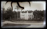 House with palm tree at head of harbor, [Bermuda] [graphic].