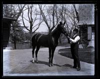 Strawbridge's horse, Genesta, [Germantown] [graphic].