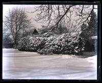 Snow scene in our garden, [Deshler-Morris House, 5442 Germantown Ave]. Ridge back of kitchen [graphic].