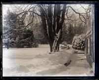 Snow scene, looking up garden from porch door, [Deshler-Morris House, 5442 Germantown Ave] [graphic].