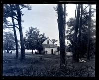 Cottage through pine trees at Allaire, [NJ] [graphic].