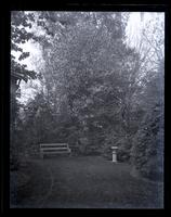 Bird cherry tree at top of yard in full bloom. [Deshler-Morris House, 5442 Germantown Avenue] [graphic].