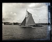 T.C. Foster's sloop yacht The Restless in race of Quaker City Yacht Club [graphic].