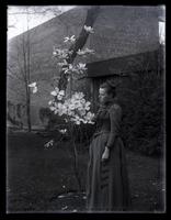Bess standing by little magnolia tree near top of our yard, [Deshler-Morris House, Germantown] [graphic].
