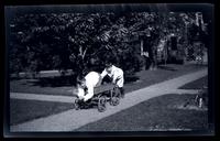 [Elliston Perot Morris, Jr. and Marriott Canby Morris Jr. with wagon], Down Rancocas, NJ [graphic].