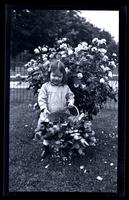 [Janet Morris with a basket of roses], Rose Time at 131 W. Wal[nut] [graphic].