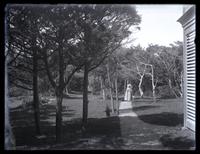 [Bess standing on wooded path, probably Crescent Park, Sea Girt, NJ] [graphic].