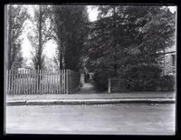 Down Pelham Road from Cresheim Road thro Pines, [Pelham] [graphic].