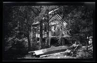 [Unfinished house in the forest], Pocono Lake, [PA] [graphic].