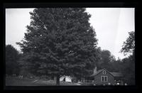 [House and campsite], Pocono Lake, [PA] [graphic].