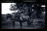 [Man driving a horse drawn cart], Pocono Lake, [PA] [graphic].