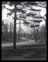 [Neighborhood in Pelham] [graphic].