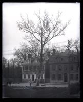 Photo of the old Buttonwood tree [planted by Samuel B. Morris] at Market Square, Germantown, Phila. [graphic].