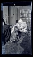 [Janet Morris in carriage petting dog, 131 W. Walnut Lane] [graphic].