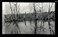 [View of the lake], Pocono Lake, PA [graphic].