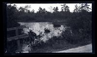 [Riverbank], canoeing, Egg Harbor River, NJ [graphic].