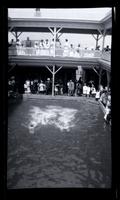 [Crowd on porch watching swimmers in pool, Sea Girt, NJ] [graphic].