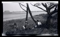 [Elliston Perot Morris and woman seated in the grass, Sea Girt, NJ] [graphic].