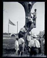 [Climbing a tree], Boys Parlors Camp, Wildwood, NJ [graphic].