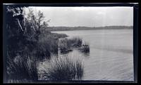 [View of the lake], Pocono Lake, PA [graphic].