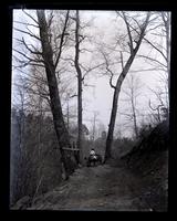 Road by Pacolet River, back of Mcaboy's, [NC] [graphic].