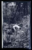 [Man among foliage], New Lisbon, NJ [graphic].