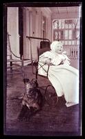 [Janet Morris in carriage next to dog, 131 W. Walnut Lane] [graphic].