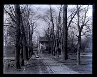 [Roberts Mansion] from farther down avenue] [graphic].
