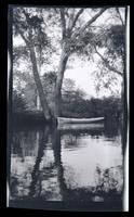 [Empty canoe in water, Sea Girt] [graphic].