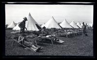 [Boys at campgrounds, Sea Girt, NJ] [graphic].