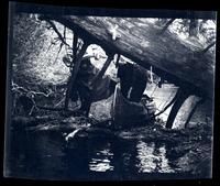 [Navigating the river, Atsion River, New Jersey] [graphic].