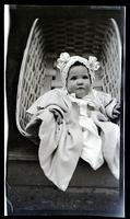 [Janet Morris in basket, 131 W. Walnut Lane] [graphic].