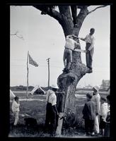 [Climbing a tree], Boys Parlors Camp, Wildwood, NJ [graphic].