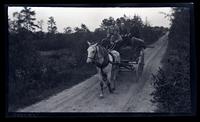 [Cart carrying canoes and people], canoeing, Egg Harbor River, NJ [graphic].