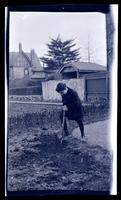 [Boy in garden, 131 W. Walnut Lane] [graphic].