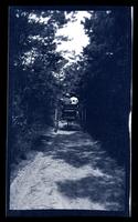 [Cart on a dirt road, Sea Girt, NJ] [graphic].