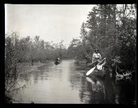 [Two canoes on the river, Atsion River, New Jersey] [graphic].